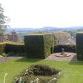 Garden Maintenance including Hedging, Trimming, Planting and Pruning 5