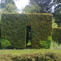 Garden Maintenance including Hedging, Trimming, Planting and Lawn Pruning 8