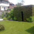 Garden Maintenance including Hedging, Trimming, Planting and Lawn Cutting 10